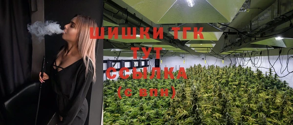 СК Аркадак