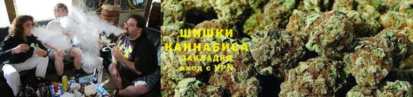 СК Аркадак