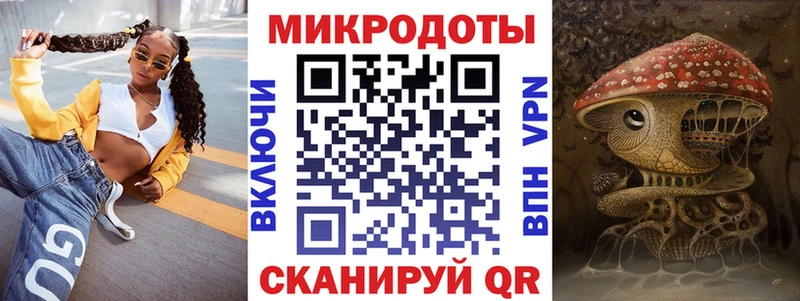 Псилоцибиновые грибы Psilocybine cubensis Хвалынск