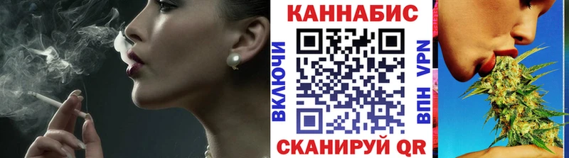 Бошки Шишки планчик  Хвалынск 